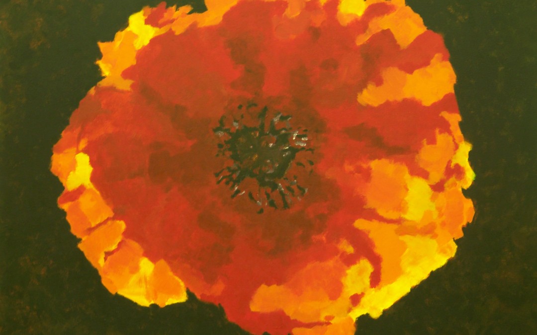 papaver